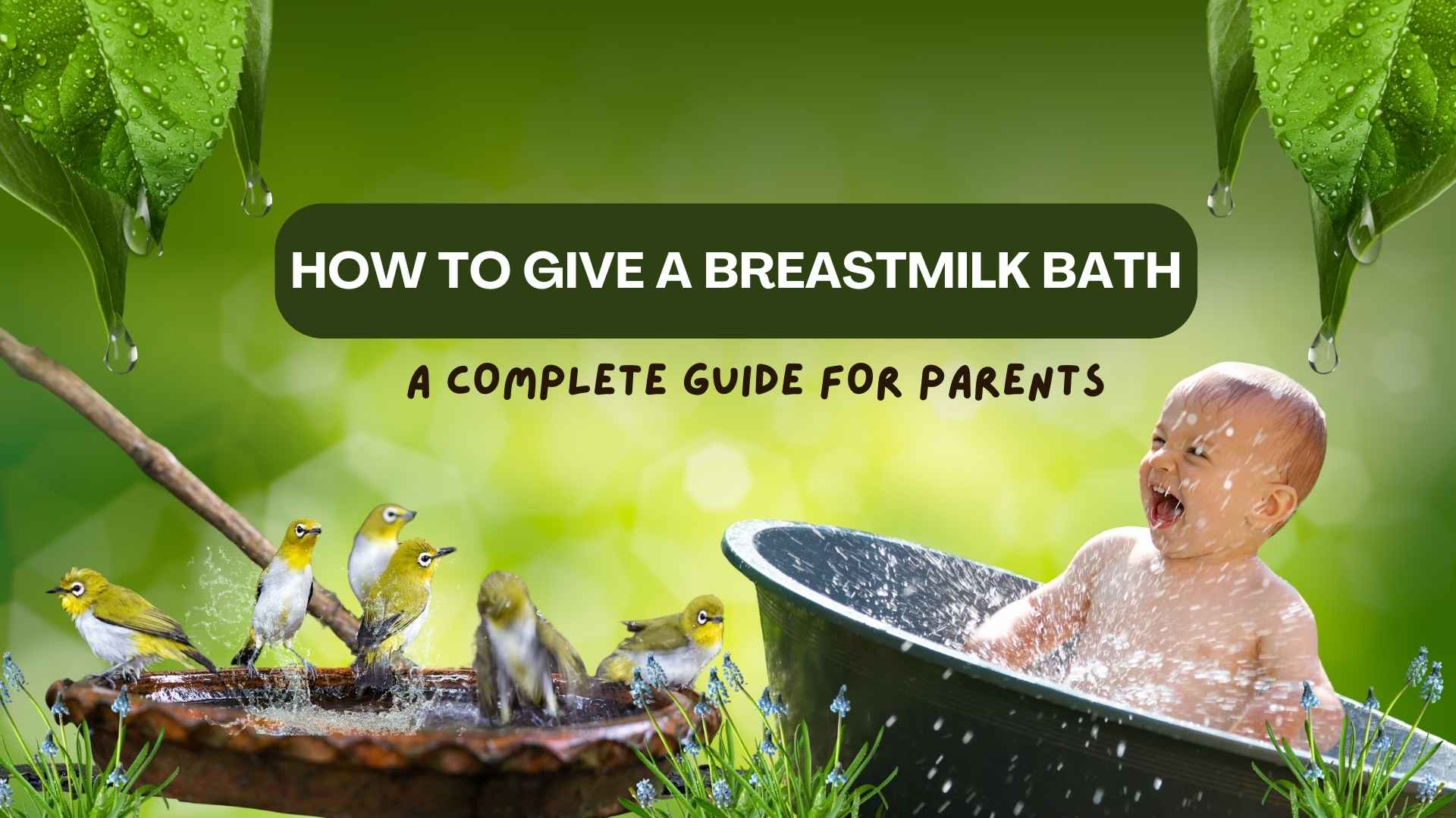 How to Give a Breastmilk Bath: A Complete Guide for Parents - The Sleepy Sloth