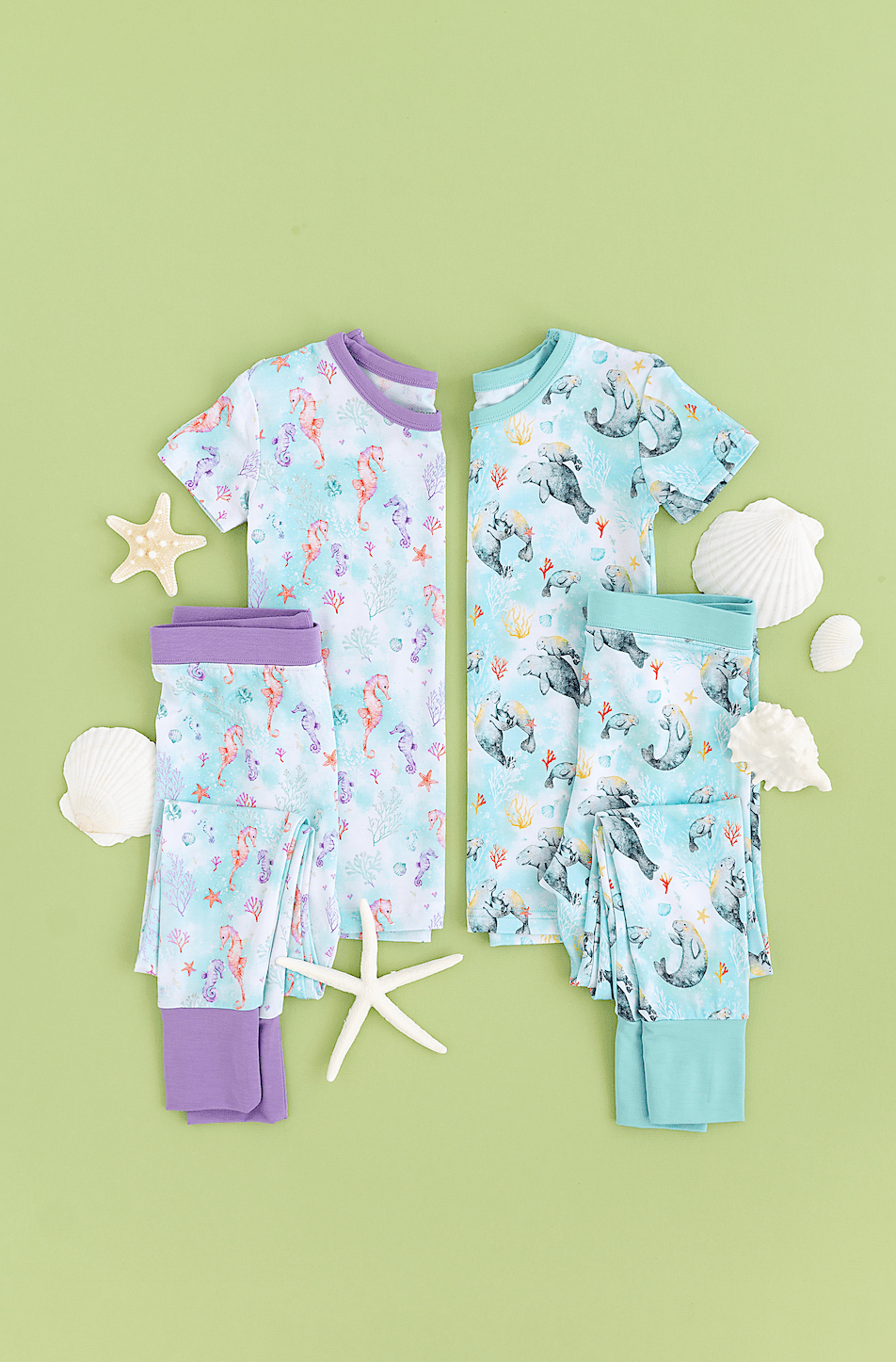 Summer - The Sleepy Sloth