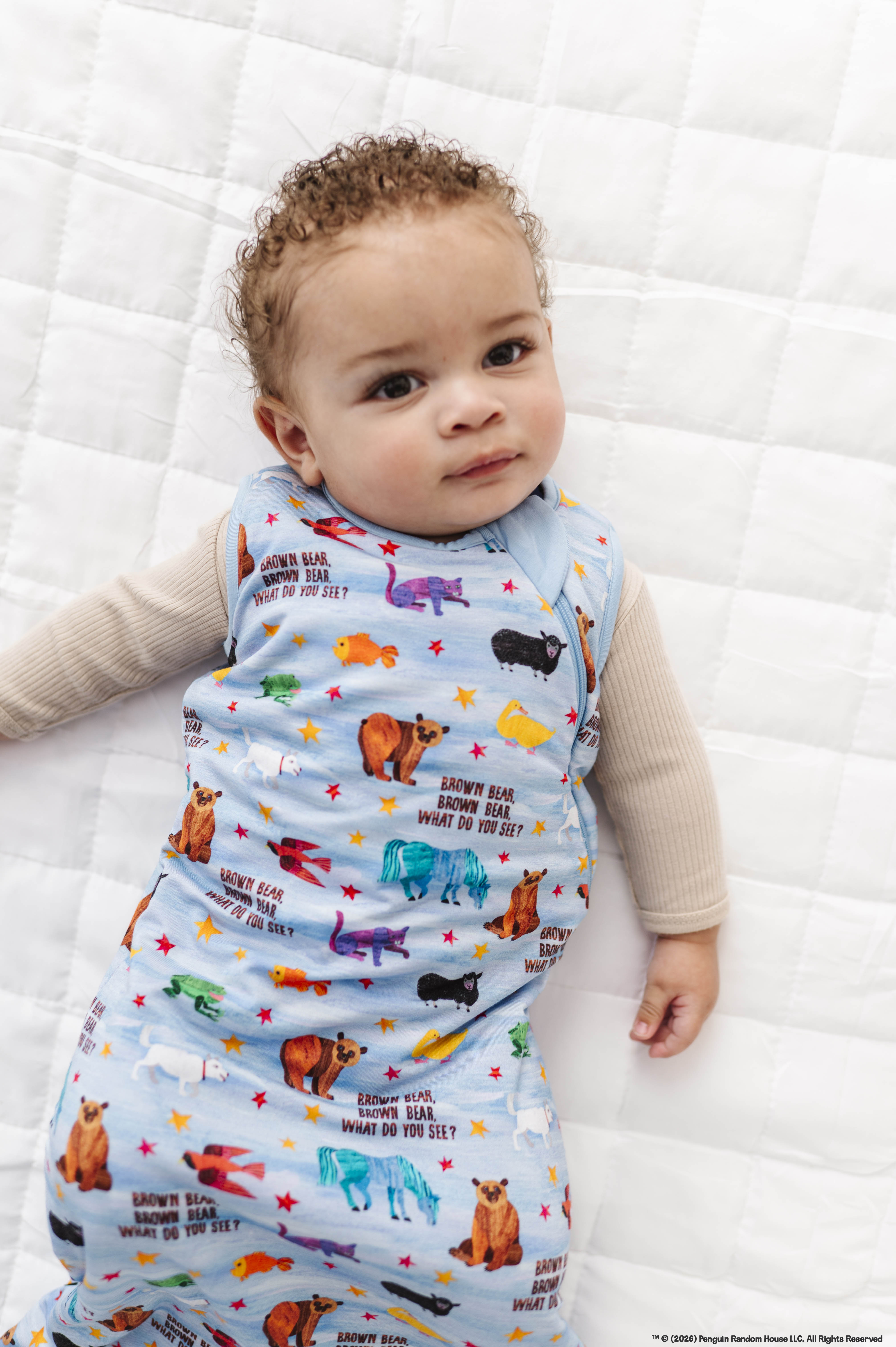 SLEEP SACK - Eric Carle™ BROWN BEAR BROWN BEAR