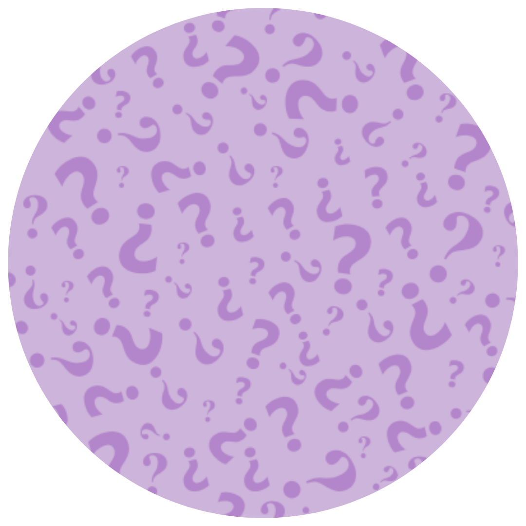 Solid Bow - MYSTERY GIRL PRINT B
