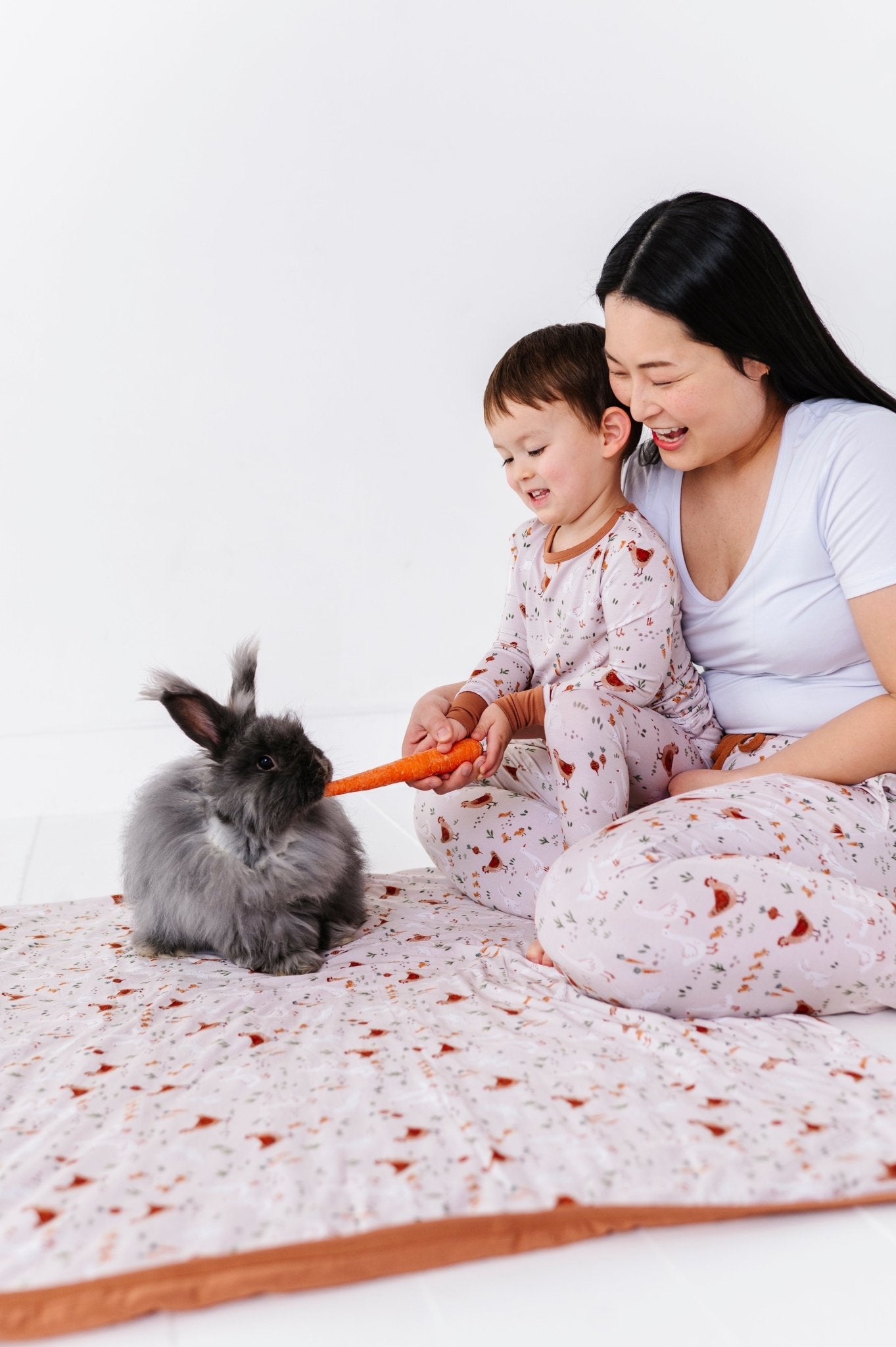 Adult Blankie - FARMSTEAD FRIENDS - The Sleepy Sloth