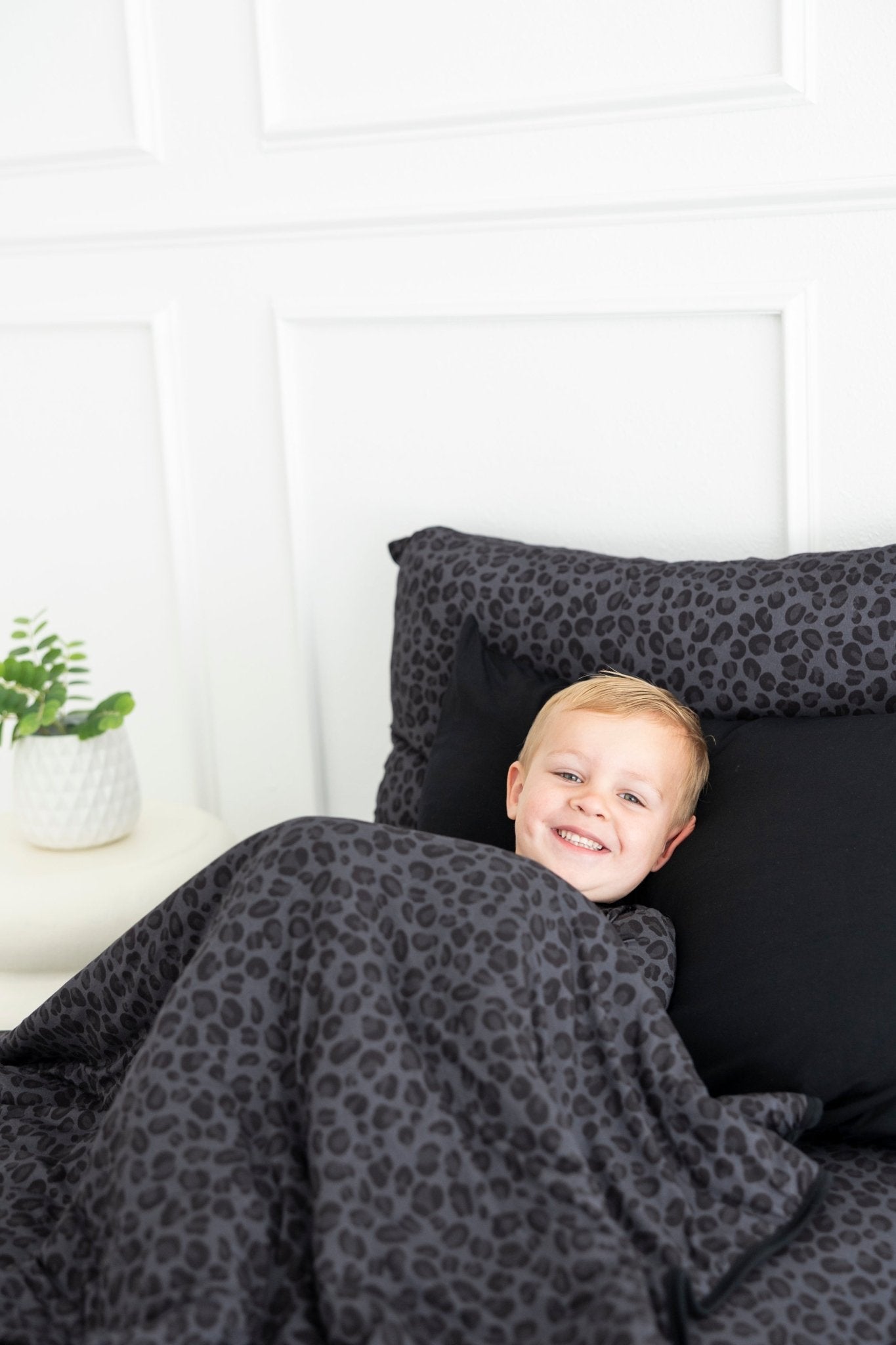 ADULT BLANKIE - SPOTTED IN ONYX - The Sleepy Sloth