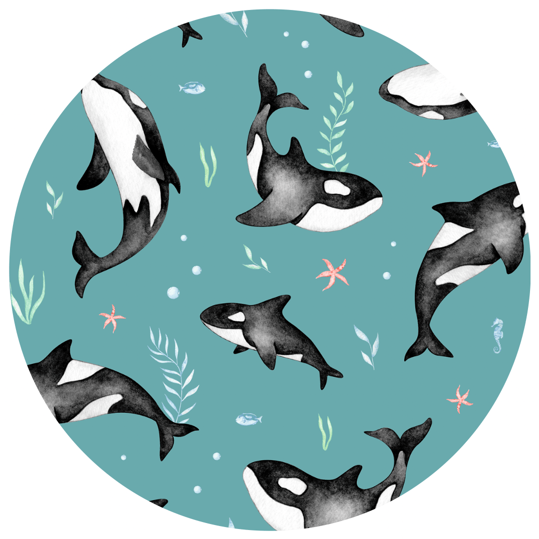 Girls Brief Set - OH WHALE - The Sleepy Sloth