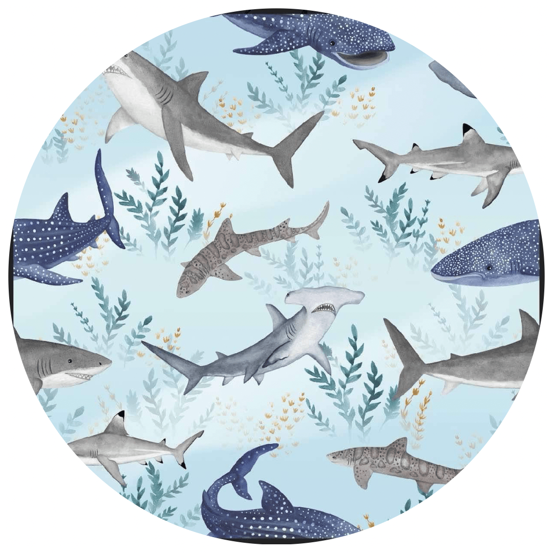 MINI BLANKIE - NO BULLSHARK - The Sleepy Sloth