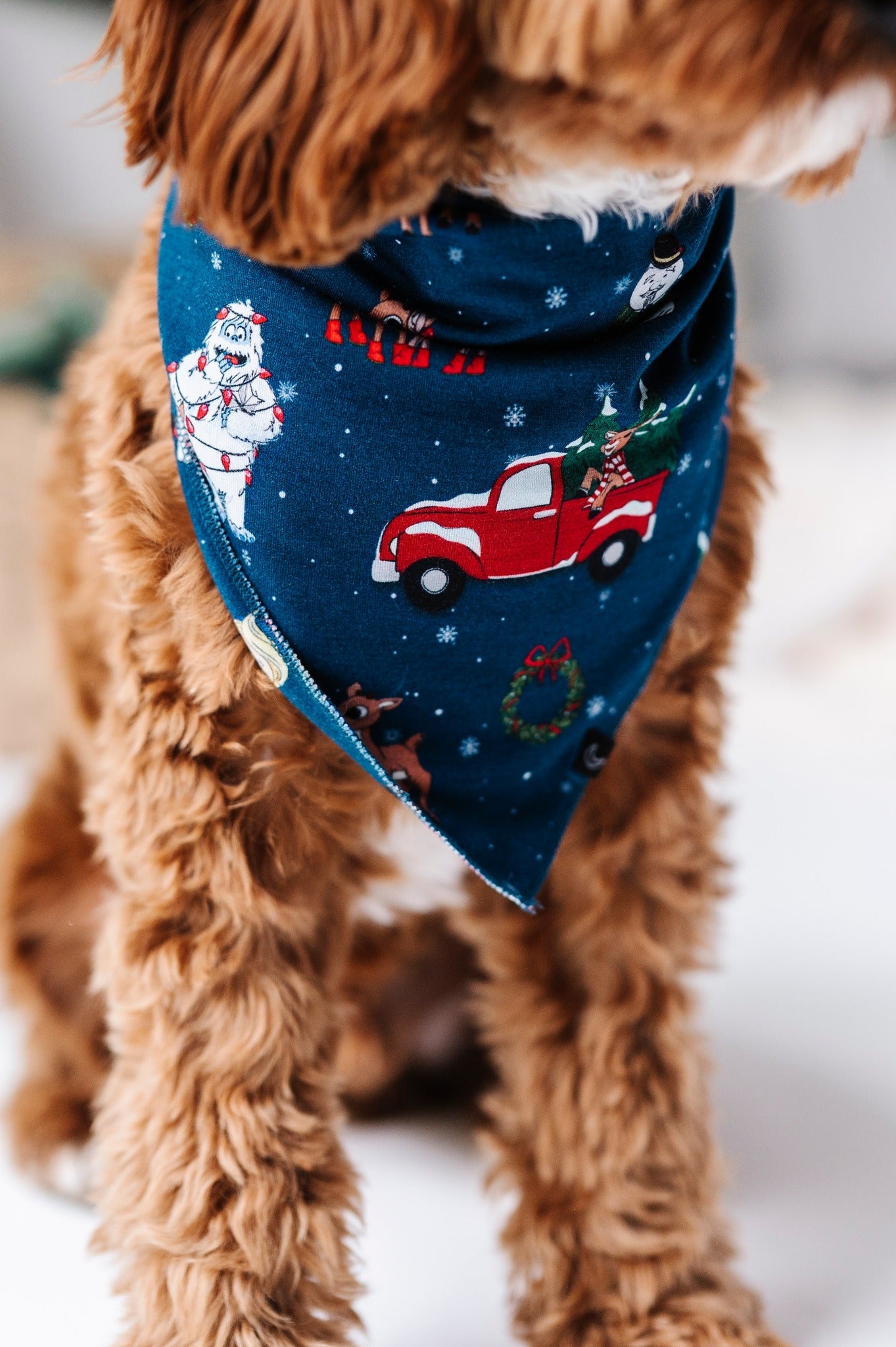 PET BANDANA- RUDOLPH & FRIENDS - The Sleepy Sloth