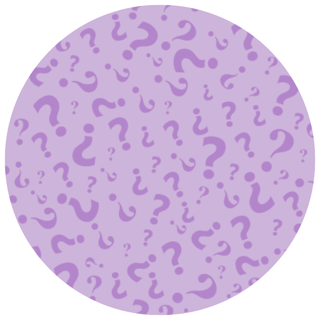 Preorder Mini Clip Bows - MYSTERY GIRL PRINT B - The Sleepy Sloth