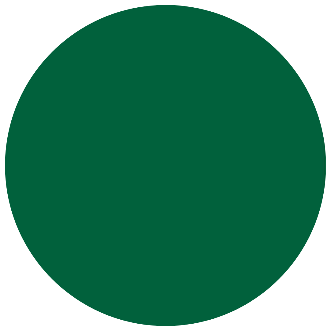 PREORDER SOLID MEN'S SHIRTS* - EVERGREEN PREORDER - The Sleepy Sloth