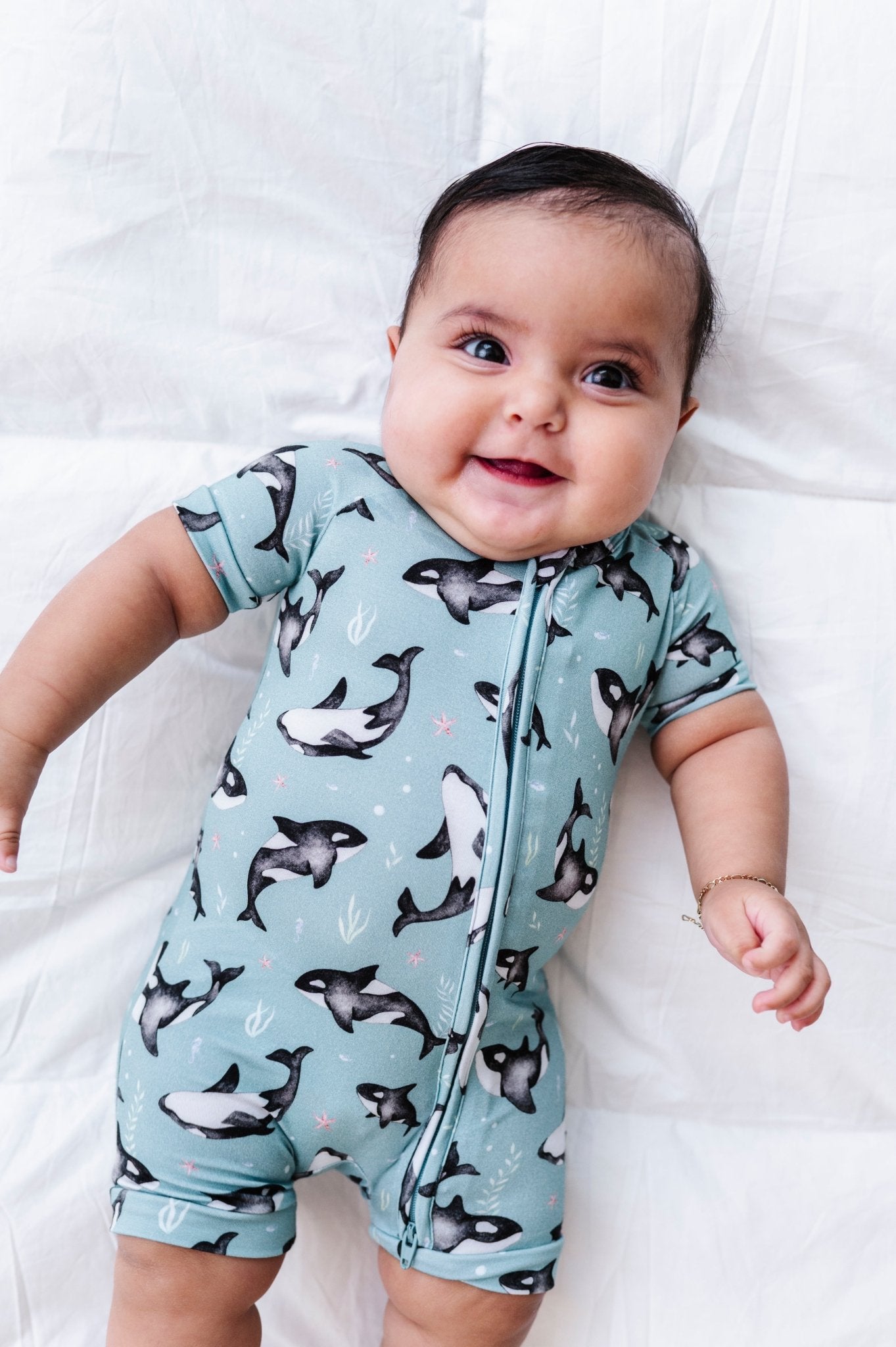 Shortie - OH WHALE - The Sleepy Sloth