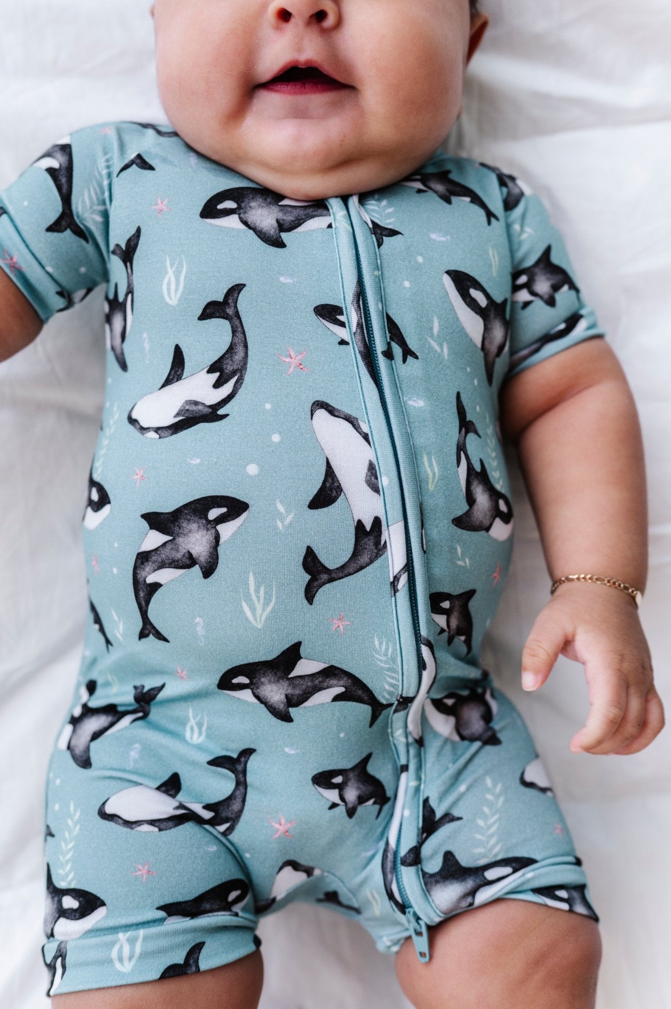 Shortie - OH WHALE - The Sleepy Sloth