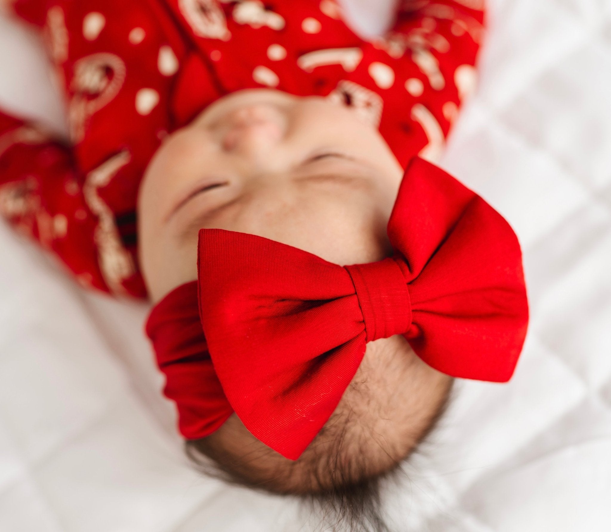 SOLID BOW - STEAMBOAT SWEETHEARTS - The Sleepy Sloth