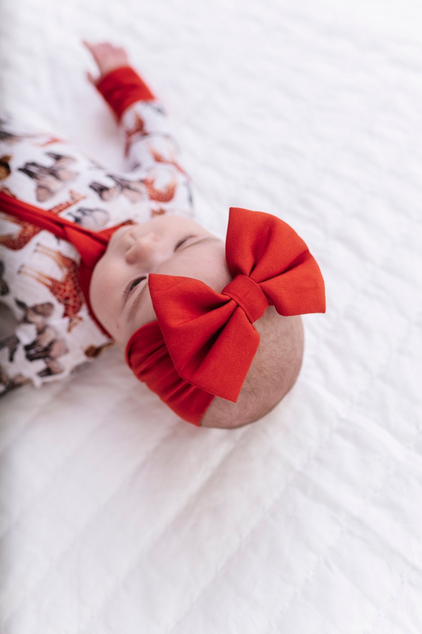 SOLID BOW - WILD THINGS - The Sleepy Sloth