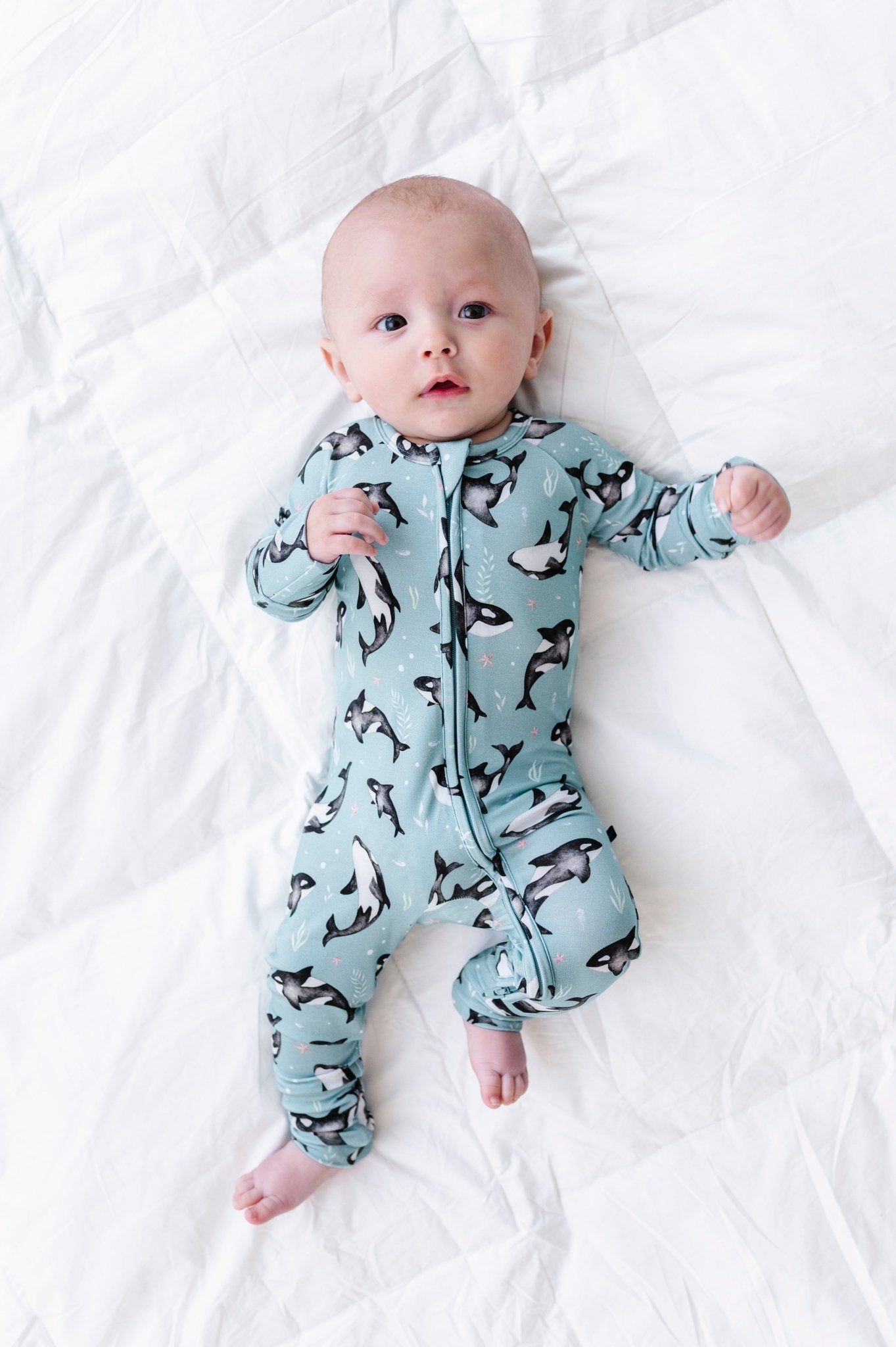 Zip Jammies - OH WHALE - The Sleepy Sloth