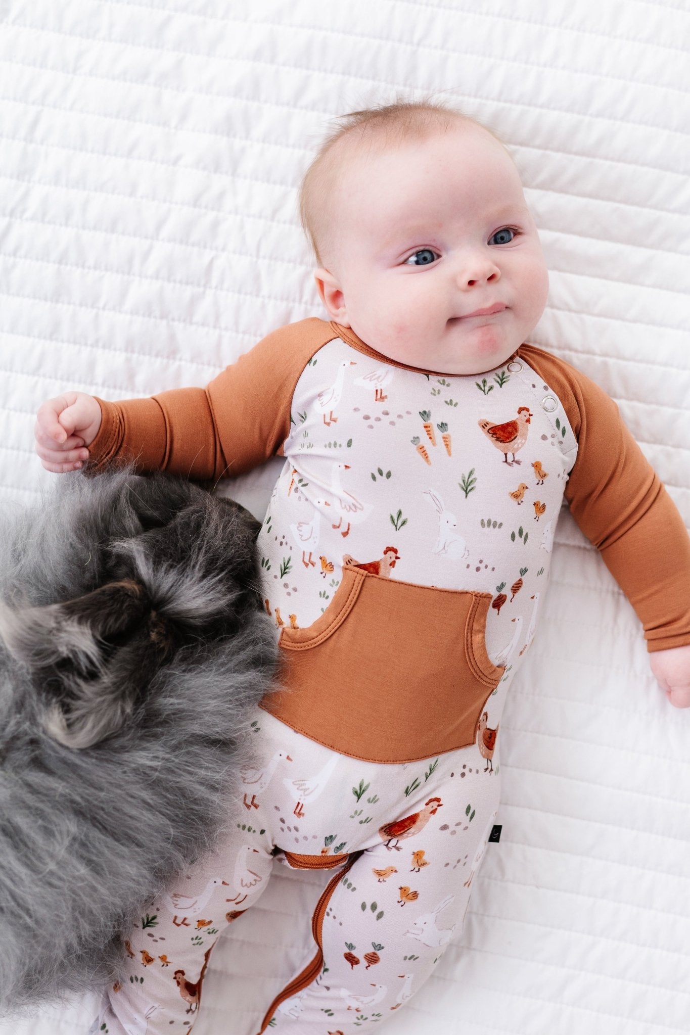 Zip Longall - FARMSTEAD FRIENDS - The Sleepy Sloth