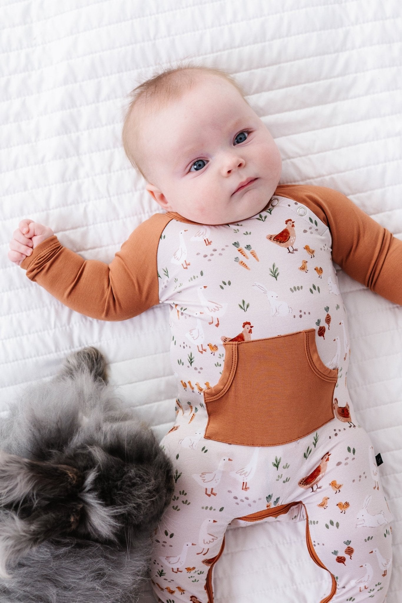 Zip Longall - FARMSTEAD FRIENDS - The Sleepy Sloth