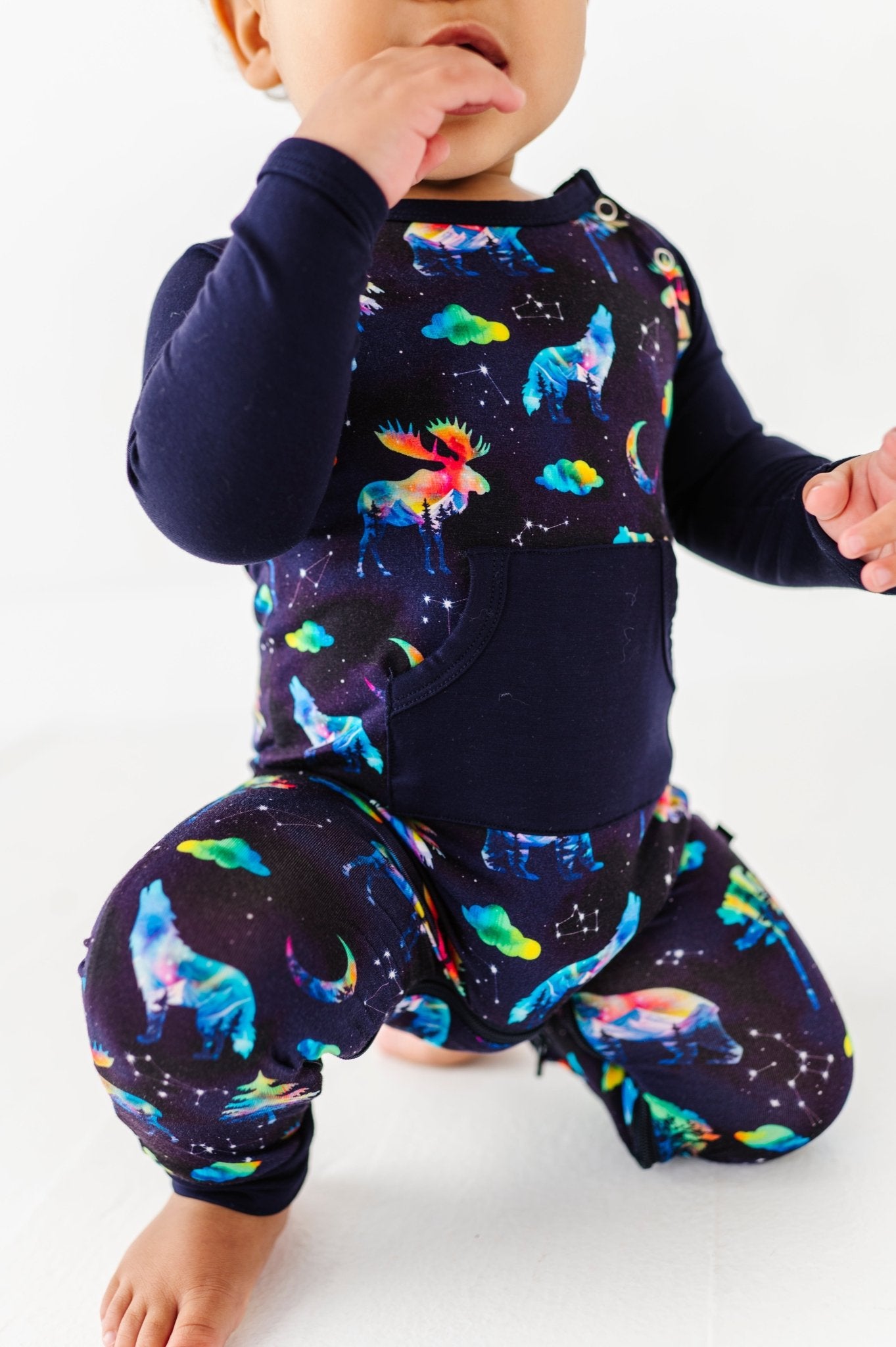 Zip Longall - NORTHERN NIGHTS - The Sleepy Sloth