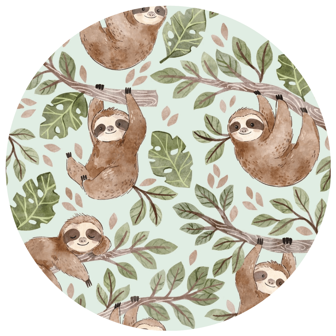 Hang Tight - The Sleepy Sloth