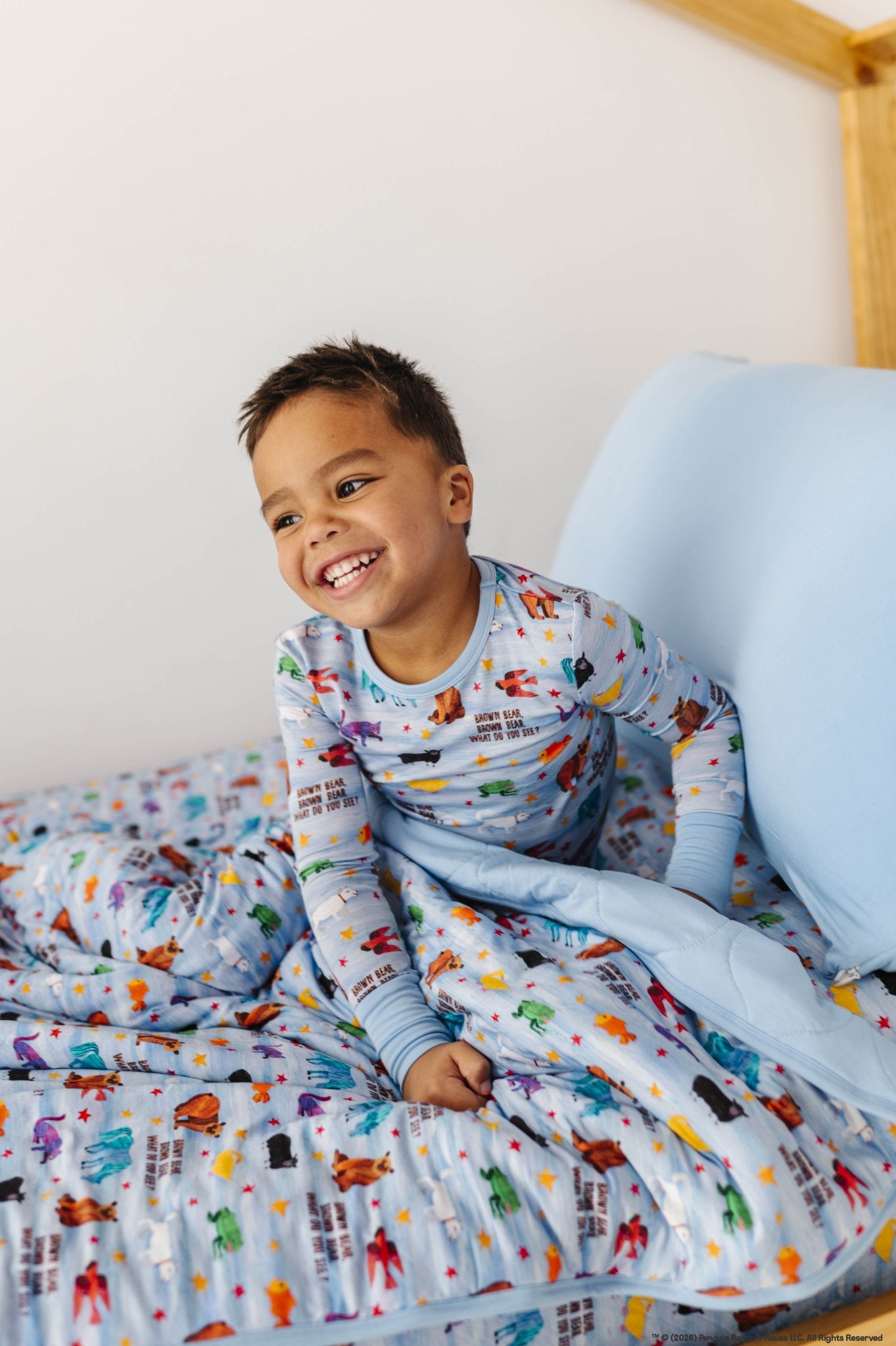 ADULT BLANKIE - Eric Carle™ BROWN BEAR BROWN BEAR - The Sleepy Sloth