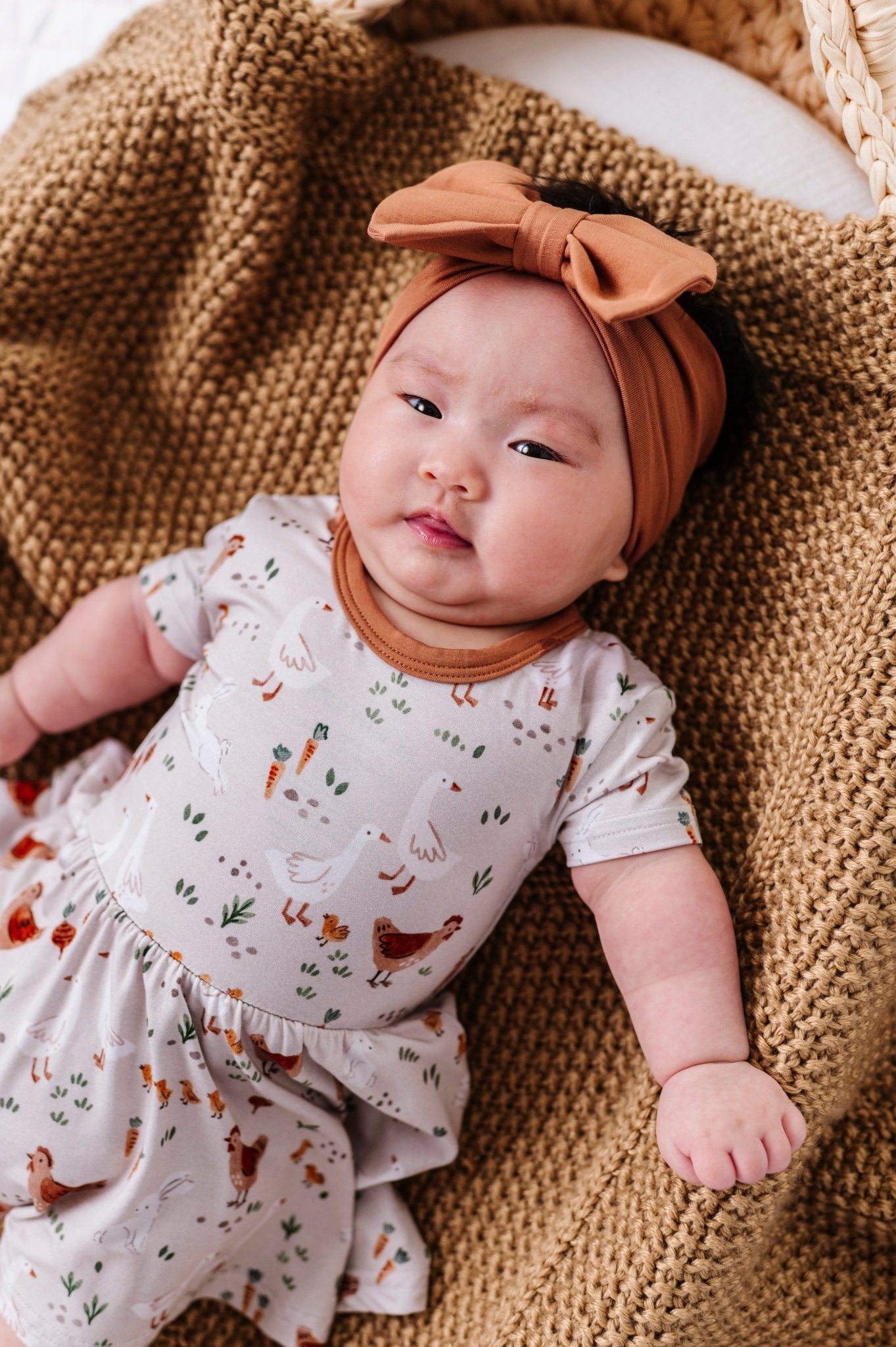 BODYSUIT TWIRLIE DRESS - FARMSTEAD FRIENDS - The Sleepy Sloth
