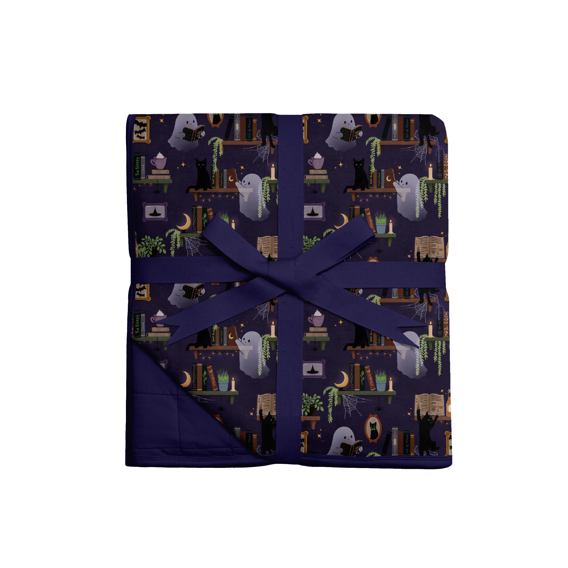 Preorder Adult Blankie - Haunted Library