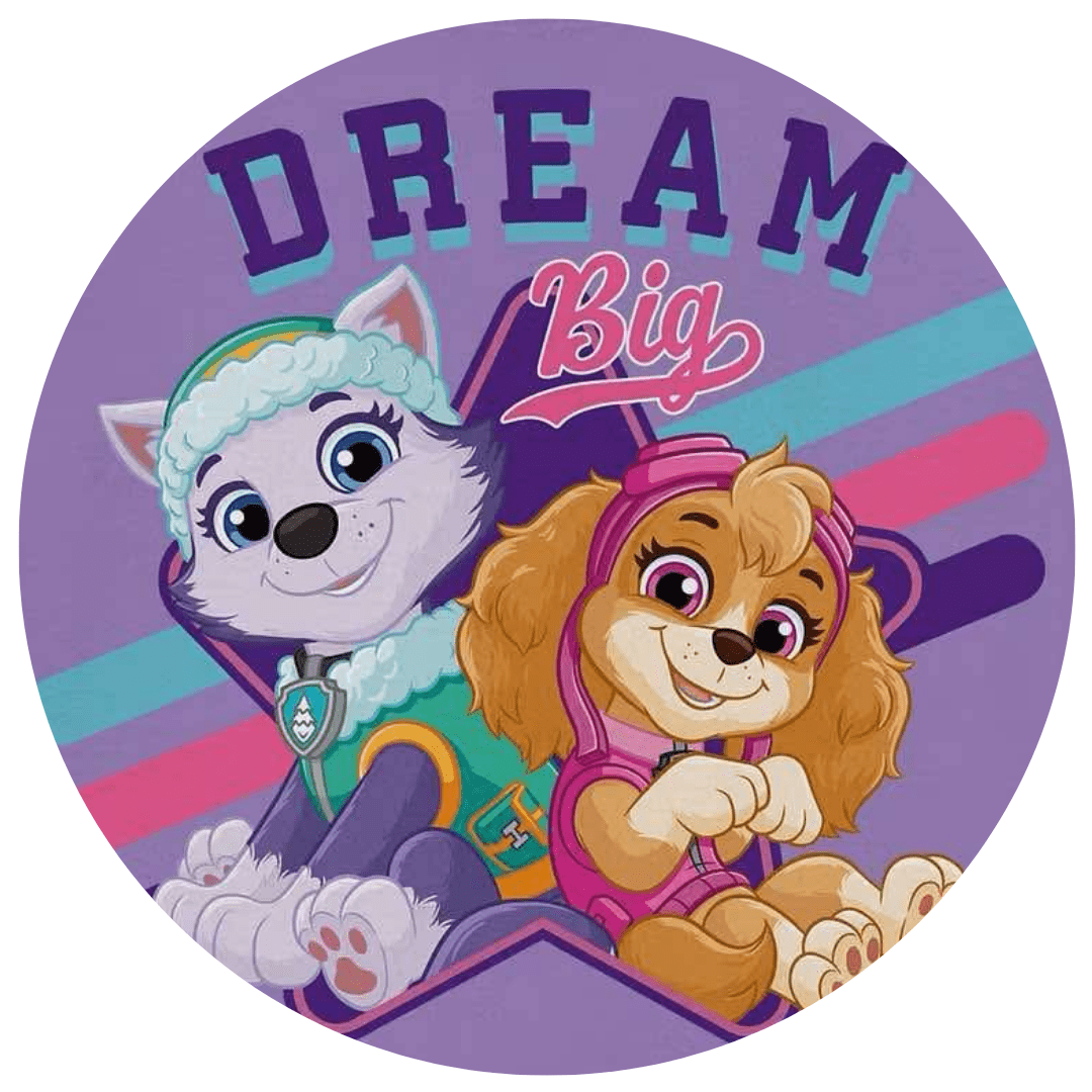 LONG SLEEVE GRAPHIC TEE - PAW PATROL™ ALL - STARS DREAM BIG - The Sleepy Sloth