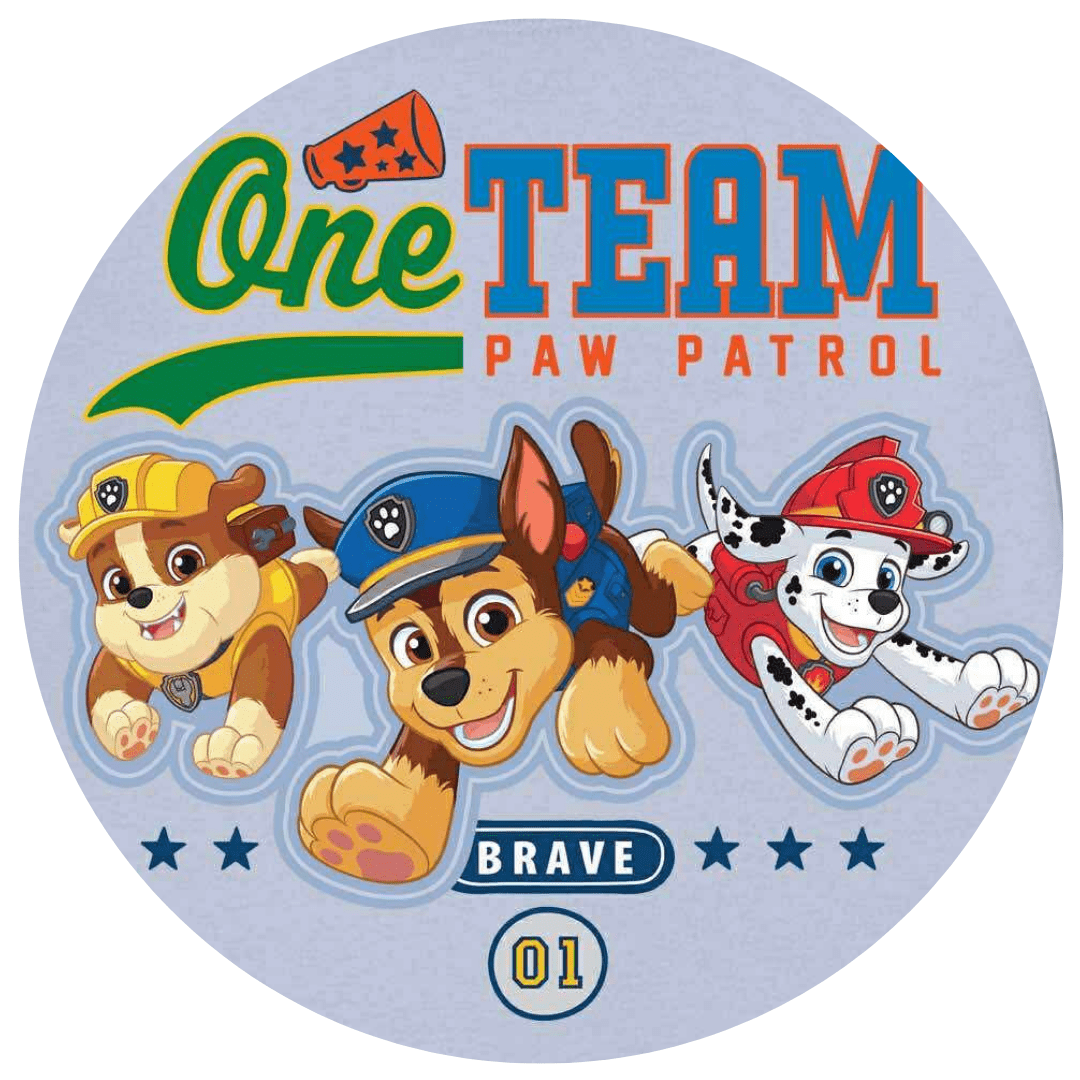 LONG SLEEVE GRAPHIC TEE - PAW PATROL™ ALL - STARS ONE TEAM - The Sleepy Sloth