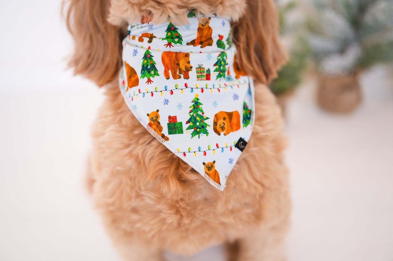 PET BANDANA - BEARY CHRISTMAS - The Sleepy Sloth