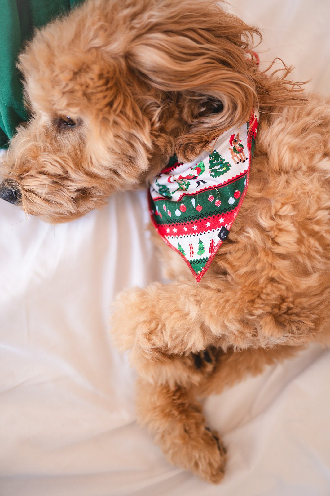 PET BANDANA - FAIR ISLE - The Sleepy Sloth