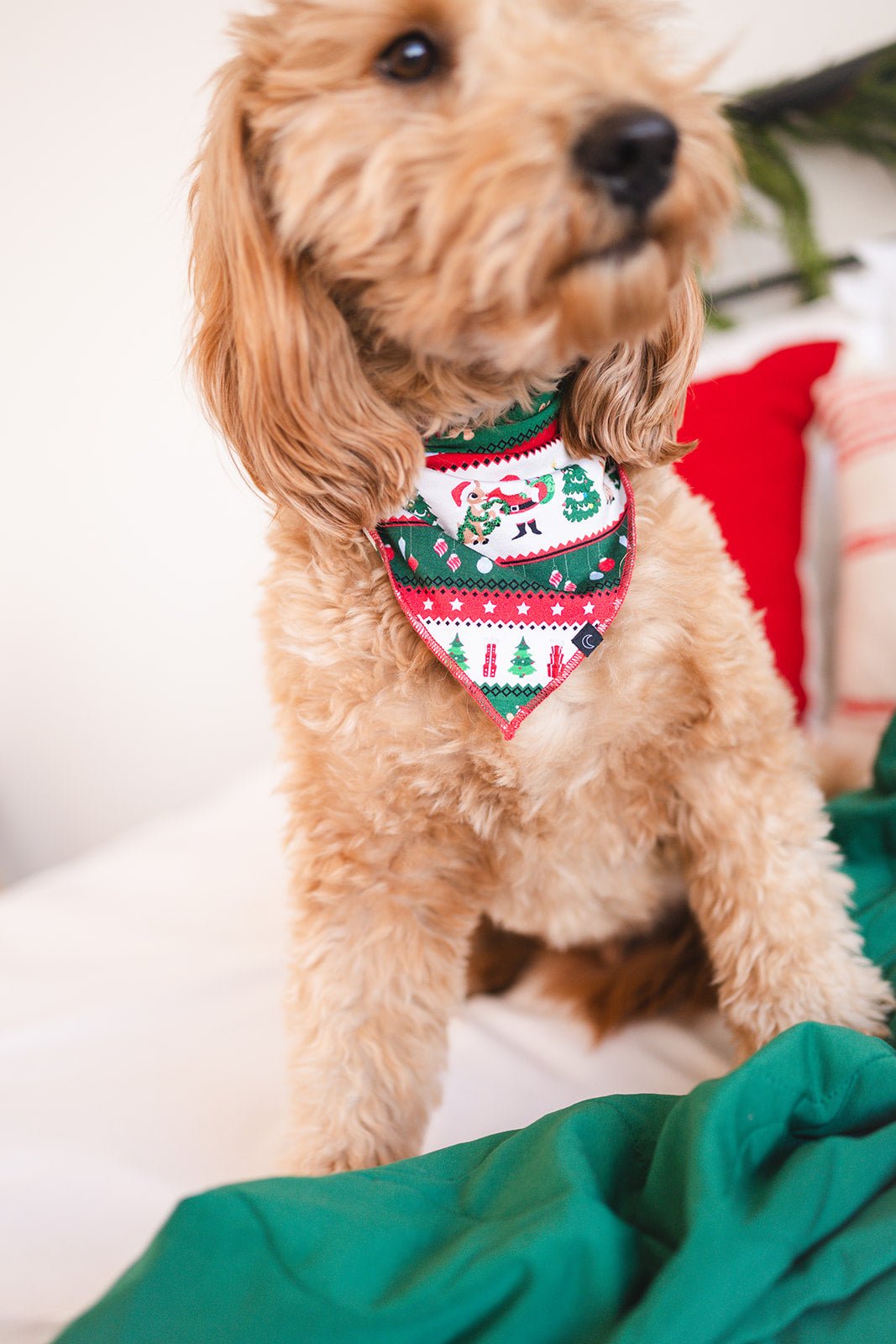 PET BANDANA - FAIR ISLE - The Sleepy Sloth