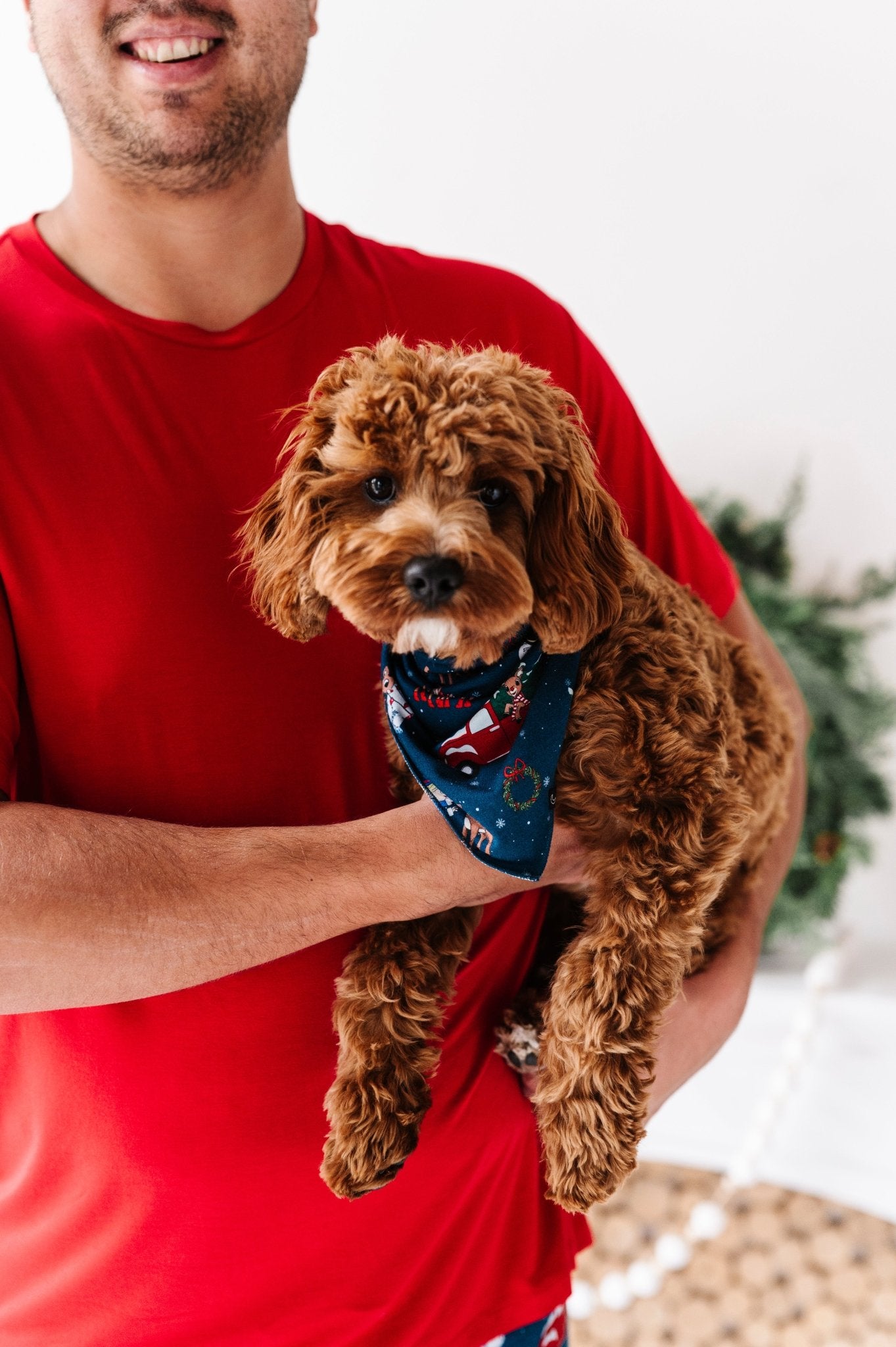 PET BANDANA - RUDOLPH© & FRIENDS - The Sleepy Sloth