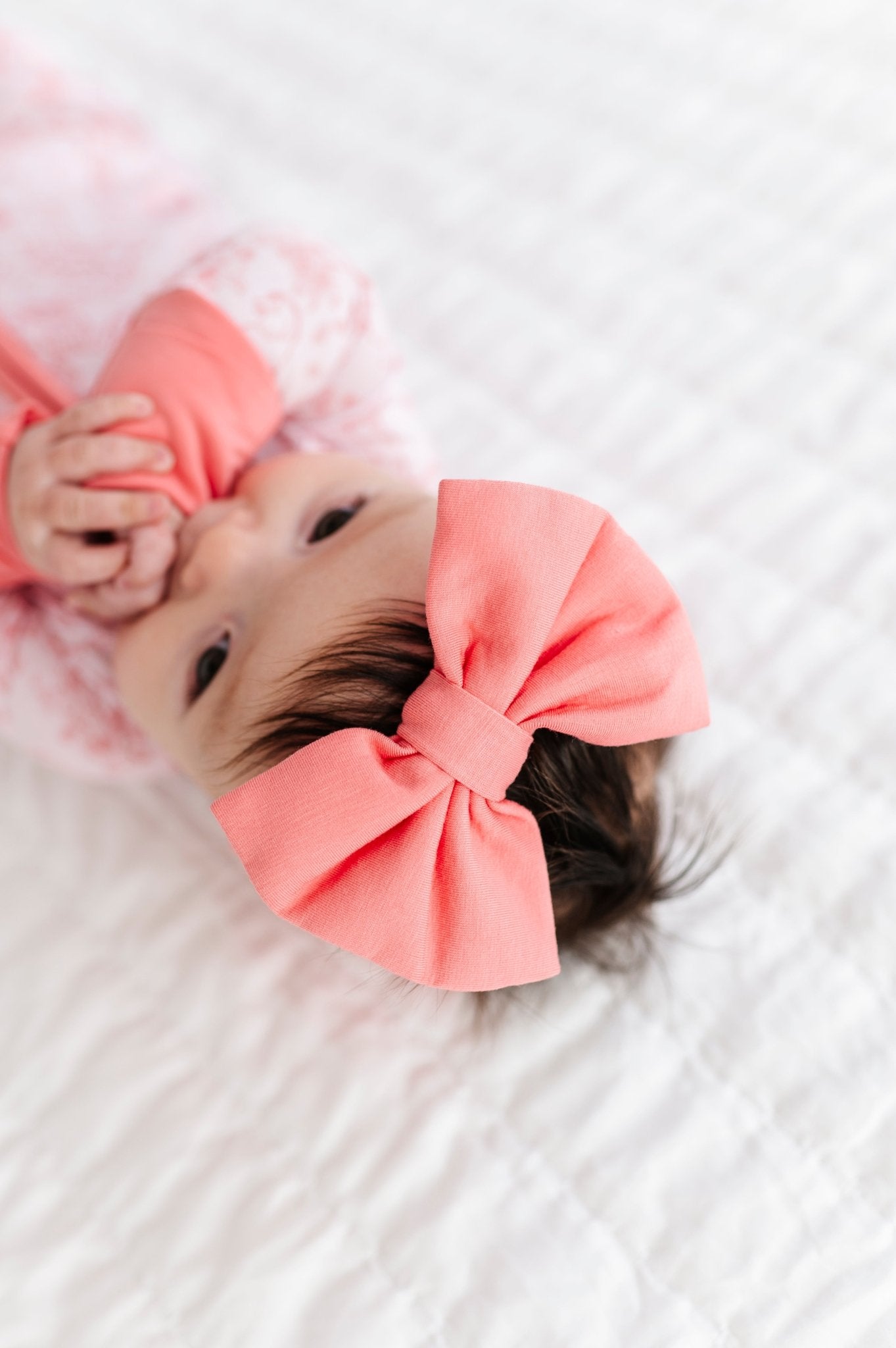 SOLID BOW - SWEET WANDERINGS - The Sleepy Sloth