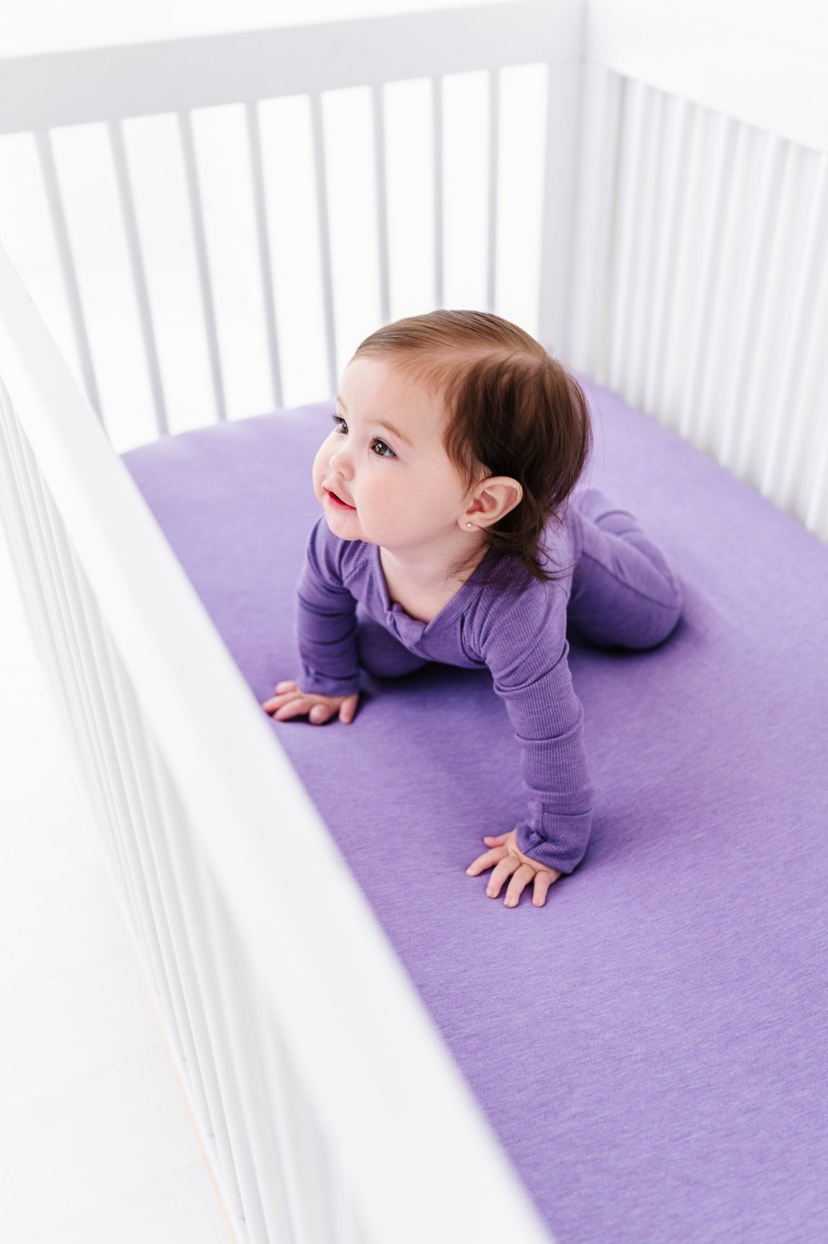 Solid Crib Sheet - Wisteria - The Sleepy Sloth