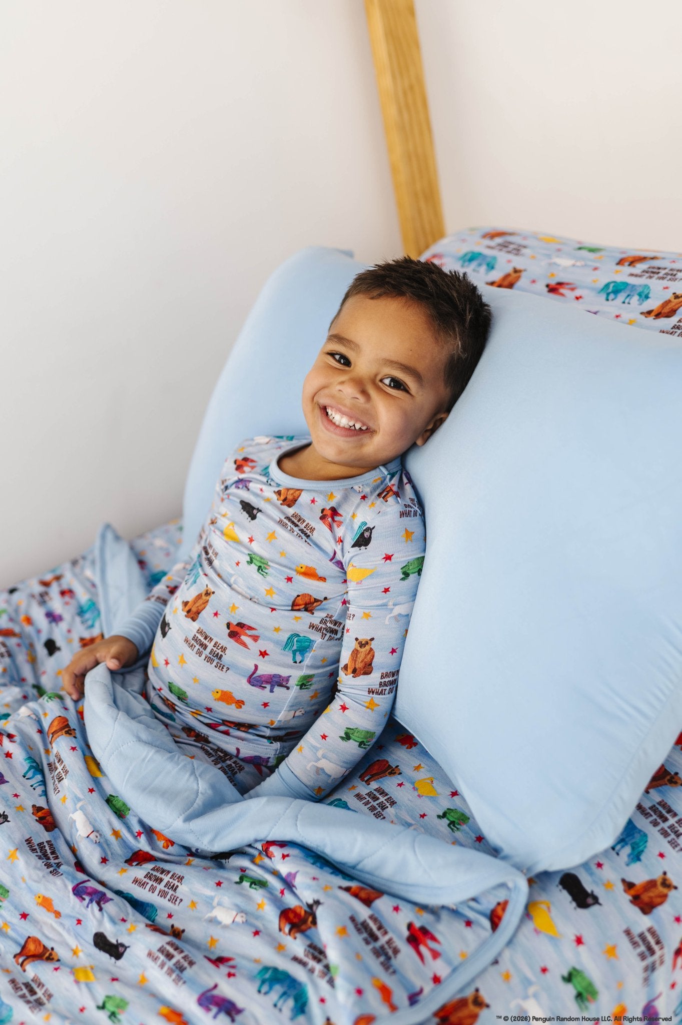 STANDARD PILLOWCASE SET - Eric Carle™ BROWN BEAR BROWN BEAR - The Sleepy Sloth