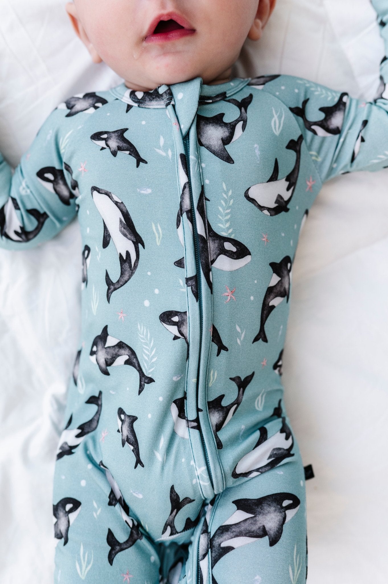 Zip Jammies - OH WHALE - The Sleepy Sloth