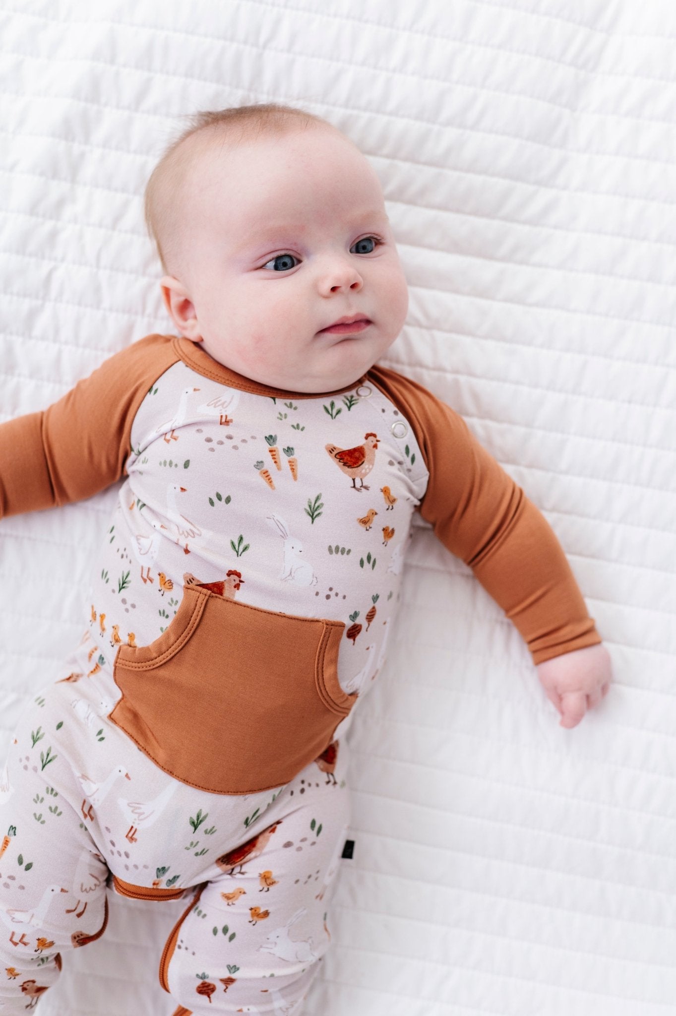 Zip Longall - FARMSTEAD FRIENDS - The Sleepy Sloth